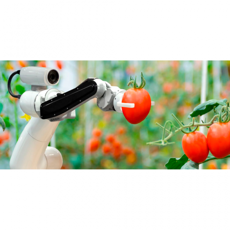 Камеры глубины FRAMOS D400e для вертикального фермерства и автоматизации сбора урожая