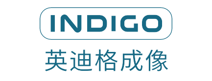 indigo-png174220.png