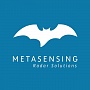 MetaSensing